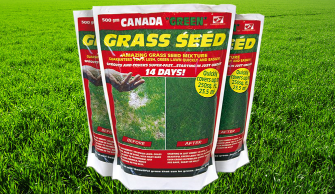 Канада грин газонная трава. Трава Канада Грин. Газон Канада супер Грин. Канада Грин эко газонная трава.